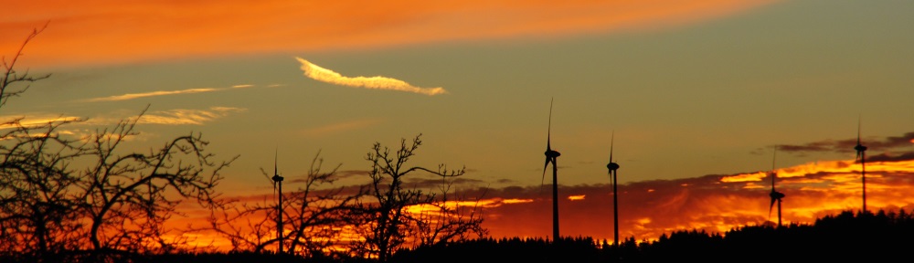 Windkraft (Quelle: Kerstin Wiedemann)